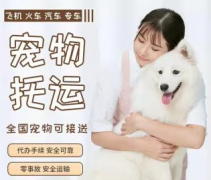 寵物托運(yùn)有保險狗貓咪空運(yùn)陸運(yùn)汽運(yùn)火車