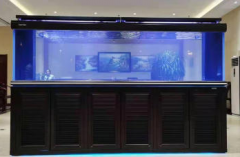 魚缸維修清洗養(yǎng)護保潔極速無接觸上門更換水族器材