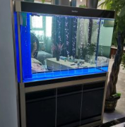 專業(yè)魚(yú)缸清洗維修消毒治療魚(yú)病，魚(yú)缸搬運(yùn)一個(gè)電話上門(mén)服務(wù)
