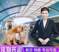 寵物托運(yùn)，上門服務(wù)，收費(fèi)合理透明