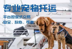 寵物托運 平臺投保丨 專車空運鐵路全國